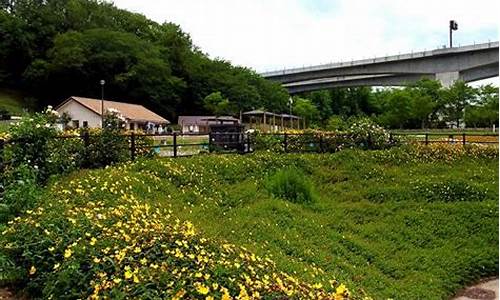 2013年6月22日柴油价格_6月13号