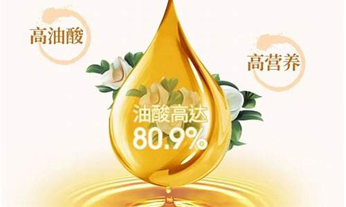 茶油价格表_2012年茶油价格