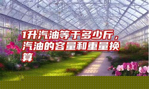 1升汽油重量多少_1升汽油重量多少千克