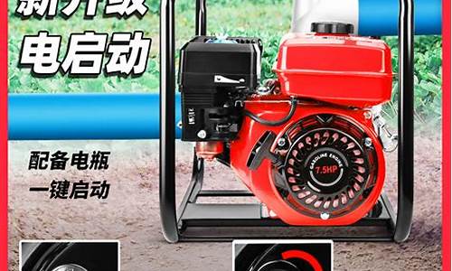 汽油抽水泵品牌十大排名_汽油抽水泵品牌好