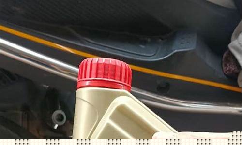 8l95号汽油多少钱_1l98号汽油多少钱啊